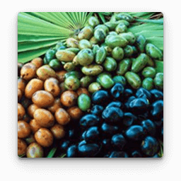 Extract de fructe de palmier sabal în Gelarex