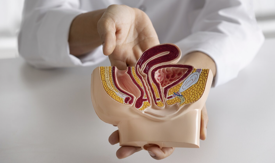 Simptome hemoroizi interni: semnele pe care mulți le ignoră